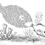 John O'Brien cartoons