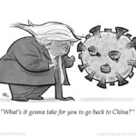 Trump cartoons