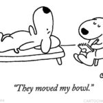 What's the Point? Cartoon Humor and Deeper Meaning