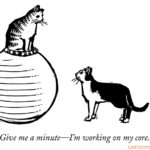 exercise cartoons
