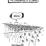 Dave Carpenter cartoons