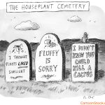 Anatomy of a Cartoon: The Perils of Houseplant Ownership