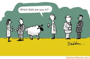 Image of a sheep being asked what field it is in