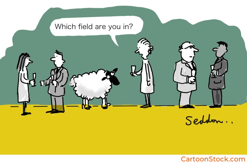 Image of a sheep being asked what field it is in