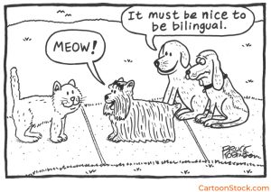 CartoonStock image by cartoonist Bruce Robinson. A dog says meow to a cat and other dogs comment about being bilingual