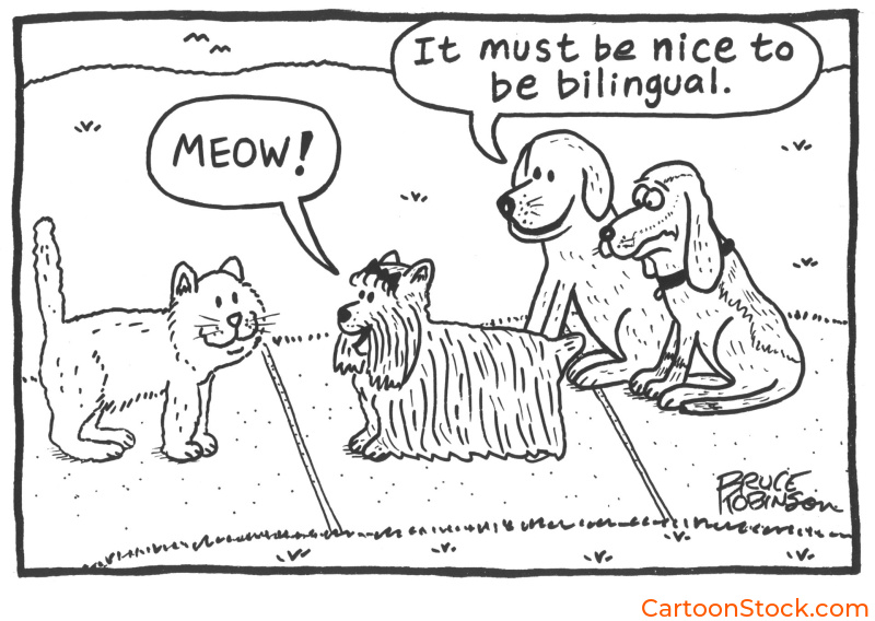 CartoonStock image by cartoonist Bruce Robinson. A dog says meow to a cat and other dogs comment about being bilingual
