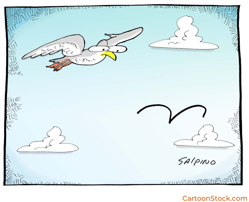 CartoonStock image by cartoonist M Salpino. A gull is looking at a cartoon single line drawing of a bird
