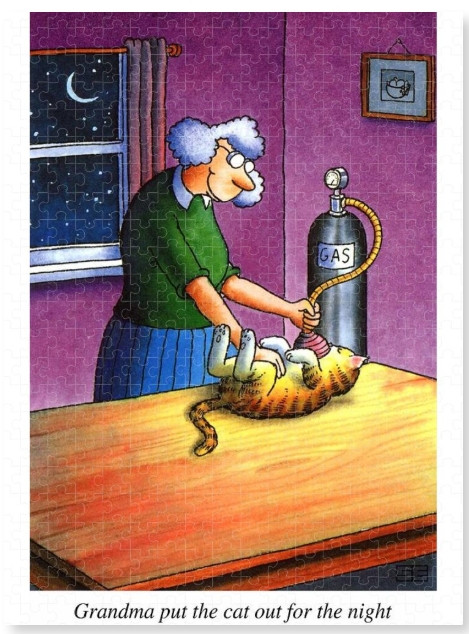 Cartoon greetings card by Stan Eales. Grandma gassing the cat so it can sleep