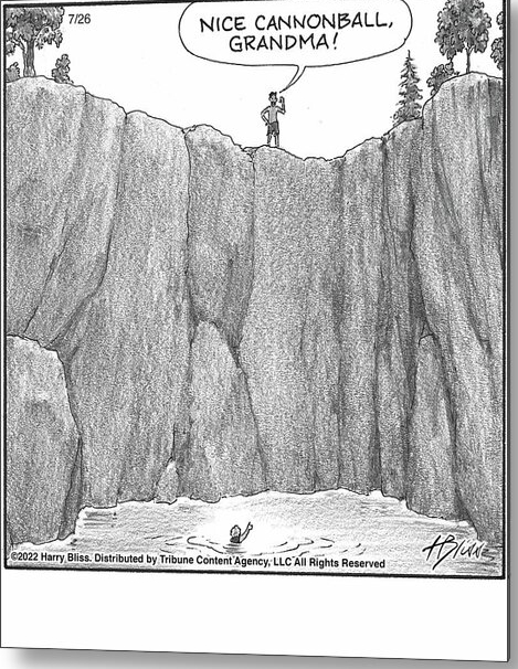 Cartoon by Harry Bliss on metal print. Grandma jumping into a canyon to canonball