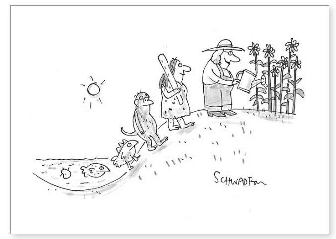 Greetings card cartoon by Harley Schwadron, evolution of gardeners