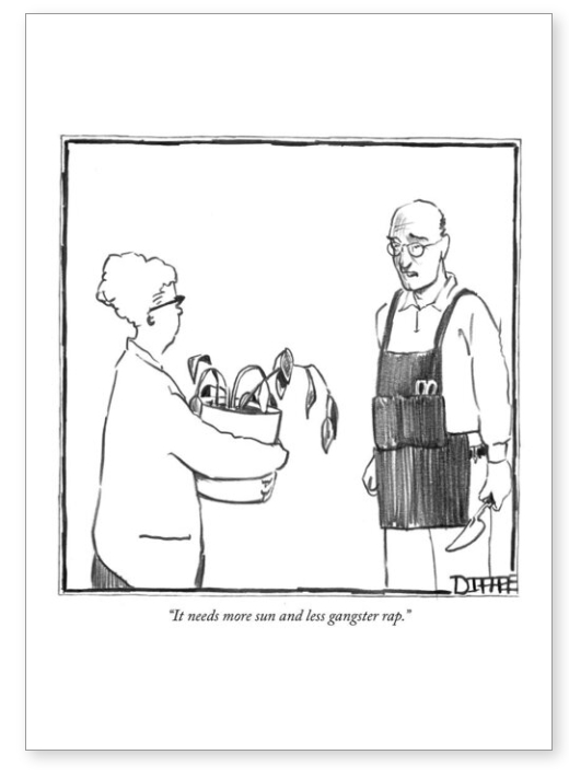 Greetings card cartoon by Matthew Diffee. Man killing plant with gangster rap