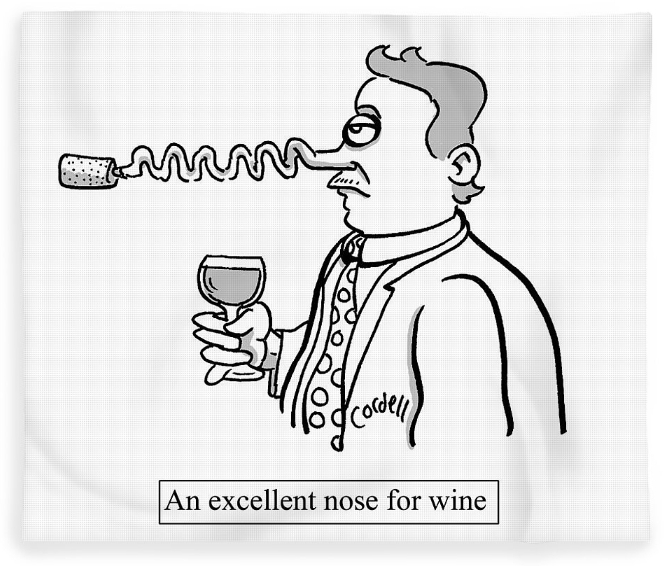 A man with a corkscrew nose cartoon by Tim Cordell on a fleece blanket gift for all occasions