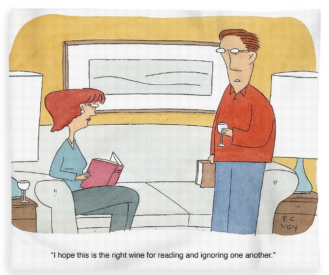 Fleece blanket gift by cartoonist P.C Vey. Couple ignoring each other because of wine