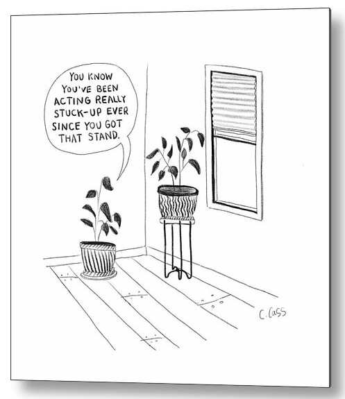Metal wall art cartoon print by Caitlin Cass showing a plant being stuck up after it got a new stand