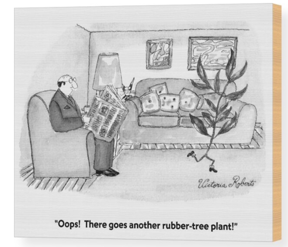 Victoria Roberts rubber plant cartoon on wooden wall art