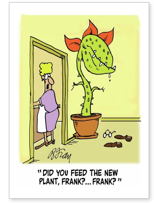 Cartoon greetings card by Brian Fray. A giant plant has eaten Frank