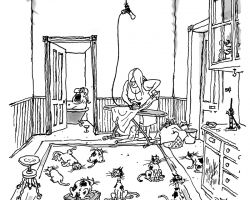 “I’m working on Plan B.”