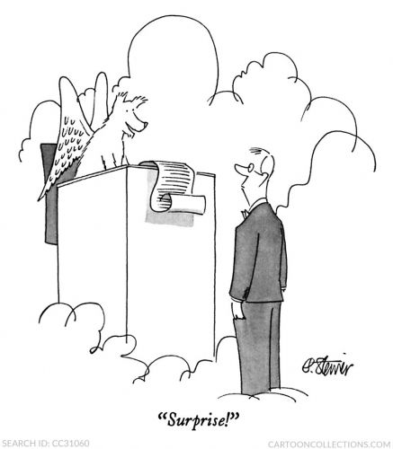 Peter Steiner cartoons