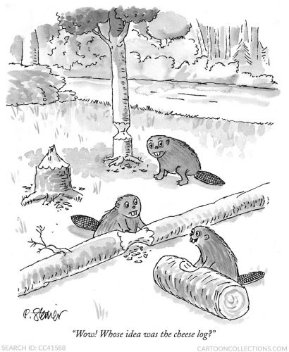 Peter Steiner cartoons