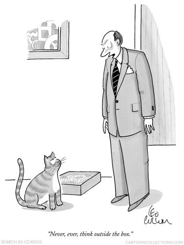 cat cartoons